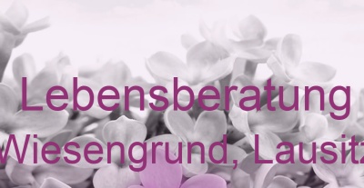 Lebensberatung Wiesengrund, Lausitz | Top-Experten für Kartenlegen, Wahrsagen, Hellsehen, Zukunftsdeutung.